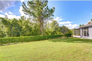1131 WRIGHTSWYNDE COURT, WESLEY CHAPEL, FL 33543 - MLS#MFRTB8435624