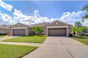 1131 WRIGHTSWYNDE COURT, WESLEY CHAPEL, FL 33543 - MLS#MFRTB8435624