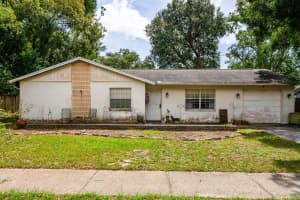 17645 Meadowbridge Dr, LUTZ