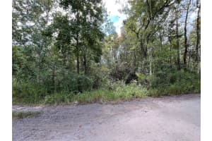 FULLER AVE #22, NEW PORT RICHEY, FL 34654 - MLS#MFRTB8435689