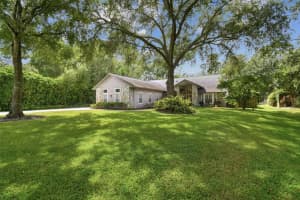 16002 ARMISTEAD LANE, ODESSA, FL 33556 - MLS#MFRTB8435723