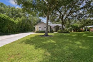 16002 ARMISTEAD LANE, ODESSA, FL 33556 - MLS#MFRTB8435723