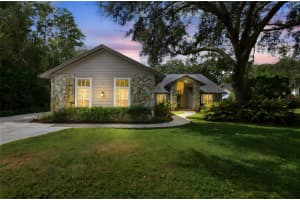 16002 ARMISTEAD LANE, ODESSA, FL 33556 - MLS#MFRTB8435723