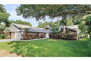 3357 PATTIE PLACE, PALM HARBOR, FL 34685 - MLS#MFRTB8435728