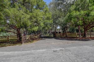 11231 TENOAKS DRIVE, HUDSON, FL 34669 - MLS#MFRTB8435729