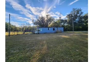 2608 20 MILE LEVEL ROAD, LAND O LAKES, FL 34639 - MLS#MFRTB8435754