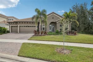 14235 Swiss Bridge Dr, RIVERVIEW