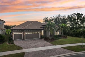 14235 SWISS BRIDGE DRIVE, RIVERVIEW, FL 33579 - MLS#MFRTB8435759