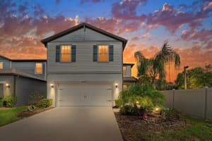 20402 MONZA LOOP, LAND O LAKES, FL 34638 - MLS#MFRTB8435760