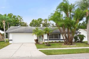 12913 ASTORWOOD PLACE, RIVERVIEW, FL 33579 - MLS#MFRTB8435761