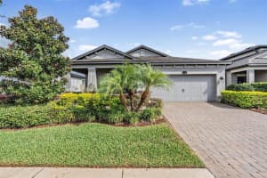 19296 LEONARD ROAD, LUTZ, FL 33558 - MLS#MFRTB8435807