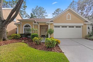 9415 OAK MEADOW COURT, TAMPA, FL 33647 - MLS#MFRTB8435809