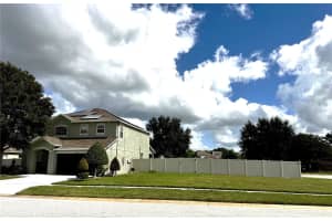 19017 SUNTERRA DRIVE, LAND O LAKES, FL 34638 - MLS#MFRTB8435826