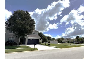 19017 SUNTERRA DRIVE, LAND O LAKES, FL 34638 - MLS#MFRTB8435826