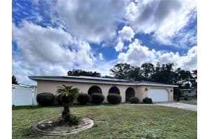 3143 FIESTA DRIVE, DUNEDIN, FL 34698 - MLS#MFRTB8435829