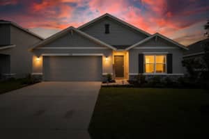 3602 FOREST PATH DRIVE, PLANT CITY, FL 33565 - MLS#MFRTB8435833
