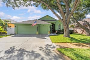 1815 Wood Trail St, TARPON SPRINGS