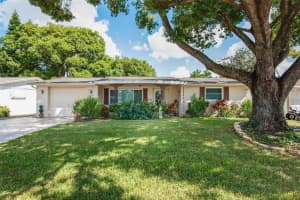 3802 MYNABIRD DRIVE, NEW PORT RICHEY, FL 34652 - MLS#MFRTB8435846
