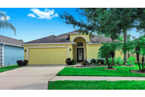 13194 Royal Pines Ave, RIVERVIEW 13194 Royal Pines Ave, RIVERVIEW