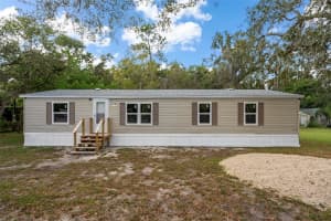 10048 MARLEY AVENUE, NEW PORT RICHEY, FL 34654 - MLS#MFRTB8435882