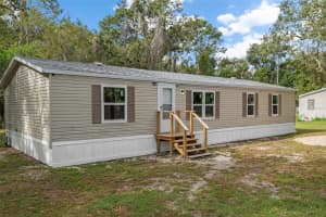 10048 MARLEY AVENUE, NEW PORT RICHEY, FL 34654 - MLS#MFRTB8435882