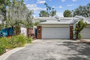 106 S Lauber Way, TAMPA