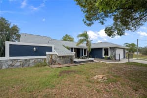 13315 BRANCHVILLE ROAD, SPRING HILL, FL 34609 - MLS#MFRTB8435921