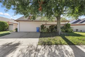 7005 SILVERMILL DRIVE, TAMPA, FL 33635 - MLS#MFRTB8435948