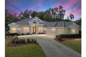 12632 OAK HOLLOW COURT, DADE CITY, FL 33525 - MLS#MFRTB8435967
