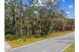 5466 AND 5476 CYRIL DRIVE, DADE CITY, FL 33523 - MLS#MFRTB8435988