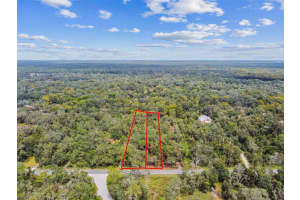 5466 AND 5476 CYRIL DRIVE, DADE CITY, FL 33523 - MLS#MFRTB8435988