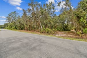5466 AND 5476 CYRIL DRIVE, DADE CITY, FL 33523 - MLS#MFRTB8435988
