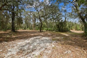 5466 AND 5476 CYRIL DRIVE, DADE CITY, FL 33523 - MLS#MFRTB8435988