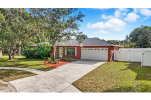 1404 SHADOW CREEK PLACE, BRANDON, FL 33510 - MLS#MFRTB8436003