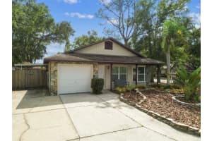 3629 KATHY COURT, PALM HARBOR, FL 34684 - MLS#MFRTB8436047