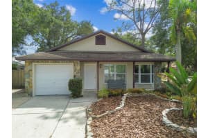 3629 KATHY COURT, PALM HARBOR, FL 34684 - MLS#MFRTB8436047