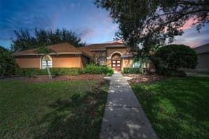 4007 Ligustrum Dr, PALM HARBOR 4007 Ligustrum Dr, PALM HARBOR