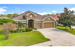 11412 78TH STREET, PARRISH, FL 34219 - MLS#MFRTB8436106