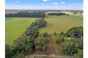 9228 7TH PATH, WILDWOOD, FL 34785 - MLS#MFRTB8436131