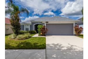 14019 HOLLOW CREST PLACE, RIVERVIEW, FL 33579 - MLS#MFRTB8436150