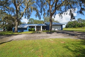 38919 OTIS ALLEN ROAD, ZEPHYRHILLS, FL 33540 - MLS#MFRTB8436158
