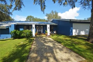38919 OTIS ALLEN ROAD, ZEPHYRHILLS, FL 33540 - MLS#MFRTB8436158