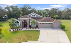 4408 CASTLEBAR WAY, VALRICO, FL 33596 - MLS#MFRTB8436159