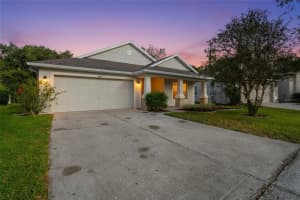 6809 BLUFF MEADOW COURT, WESLEY CHAPEL, FL 33545 - MLS#MFRTB8436169