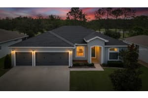 3811 SALIDA DELSOL DRIVE, SUN CITY CENTER, FL 33573 - MLS#MFRTB8436183