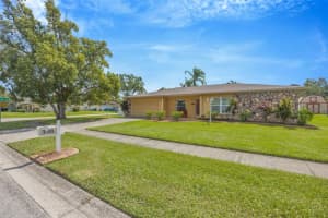 1205 Brandon Lakes Ave, VALRICO