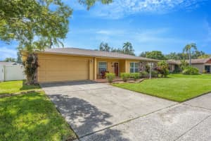 1205 BRANDON LAKES AVENUE, VALRICO, FL 33594 - MLS#MFRTB8436195