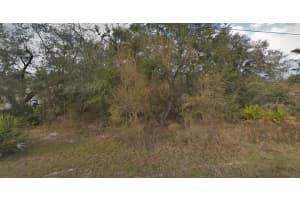 11405 PETREL AVENUE, WEEKI WACHEE, FL 34614 - MLS#MFRTB8436226