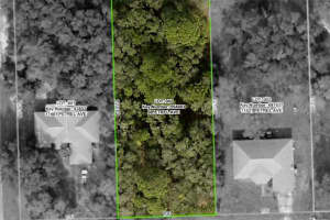 11405 PETREL AVENUE, WEEKI WACHEE, FL 34614 - MLS#MFRTB8436226