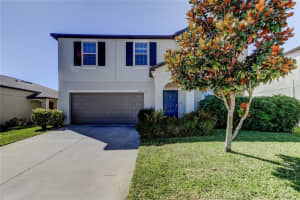 6362 Spider Lily Way, NEW PORT RICHEY 6362 Spider Lily Way, NEW PORT RICHEY